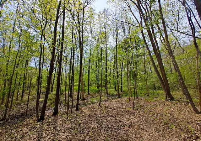 Photo 4 of Land for sale at Vl Tipsico Lake Rd Parcel A, Fenton, MI 48430 | MLS# 70533509 | Listing updated on 2026-08-20