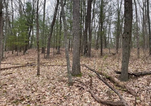 Homes for sale in Brethren, MI | Parcel B Coates Hwy, Brethren, MI 49619 | MLS# 70529099