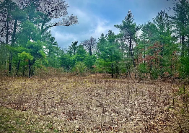 Photo 3 of Land for sale at 1220 Sydney St, Whitehall, MI 49461 | MLS# 70525637 | Listing updated on 2026-04-26
