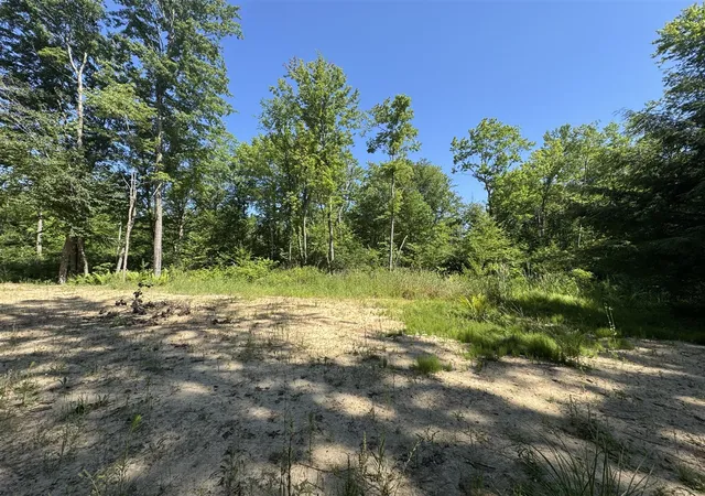 Homes for sale in Grand Junction, MI | 3181 53rd St, Grand Junction, MI 49056 | MLS# 70545133