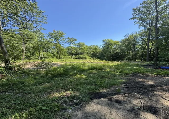 Homes for sale in Grand Junction, MI | 3181 53rd St, Grand Junction, MI 49056 | MLS# 70545133