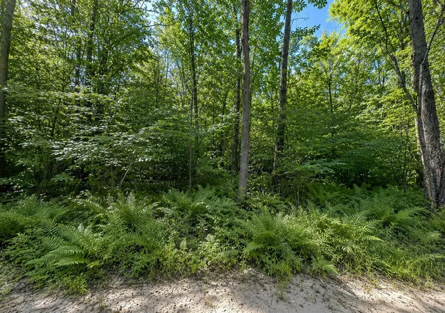 Homes for sale in Grand Junction, MI | 3181 53Rd St, Grand Junction, MI 49056 | MLS# 70545133