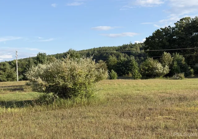 3rd image of Lot 9 Ski View Dr, Norway, MI 49870 | MLS# 50219512