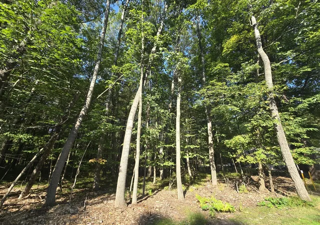Photo 3 of Land for sale at 6728 Beechnut Ridge, Stanwood, MI 49346 | MLS# 70494839 | Listing updated on 2026-09-29