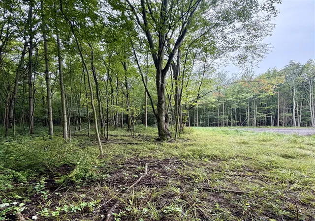 Land for sale at Lot 6 Christopher Ln, South Haven, MI 49090 | MLS# 70551936