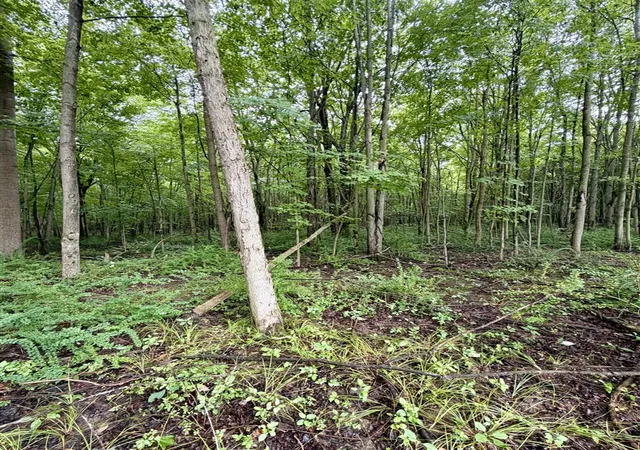 Photo 1 of Land for sale at Lot 6 Christopher Ln, South Haven, MI 49090 | MLS# 70551936 | Listing updated on 2026-08-12