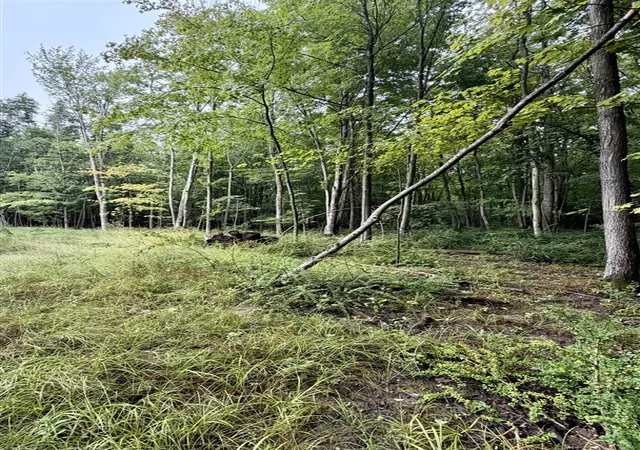 Photo 2 of Land for sale at Lot 6 Christopher Ln, South Haven, MI 49090 | MLS# 70551936 | Listing updated on 2026-08-12