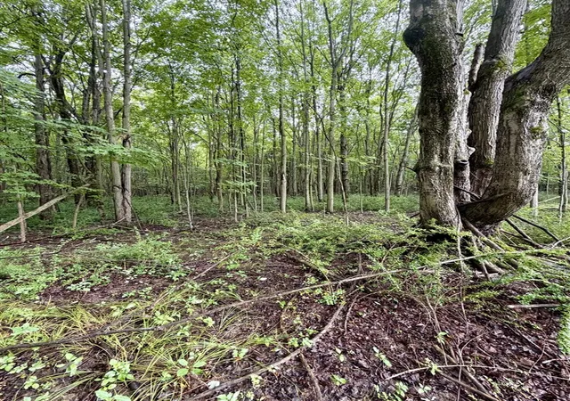 Photo 4 of Land for sale at Lot 6 Christopher Ln, South Haven, MI 49090 | MLS# 70551936 | Listing updated on 2026-08-12