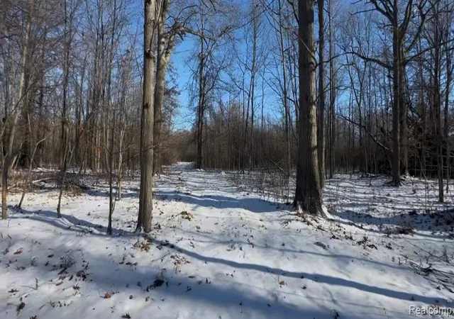 1st image of 7021 Palms Road Road, Ira, MI 48023 | MLS# 60994794