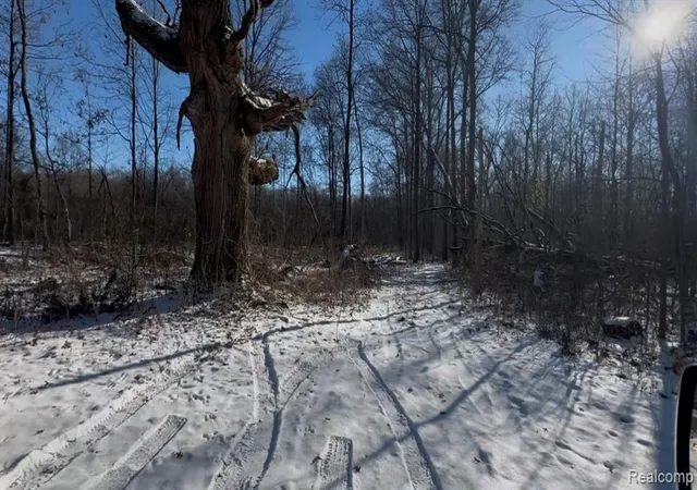 2nd image of 7021 Palms Road Road, Ira, MI 48023 | MLS# 60994794