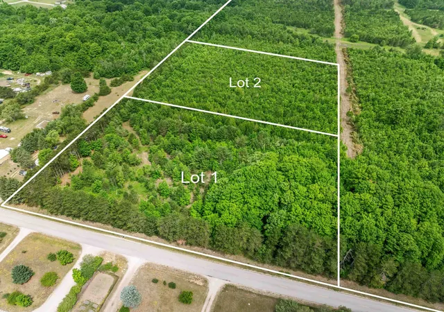 Homes for sale in Benzonia, MI | Parcel 1 Maple, Benzonia, MI 49616 | MLS# 80069899