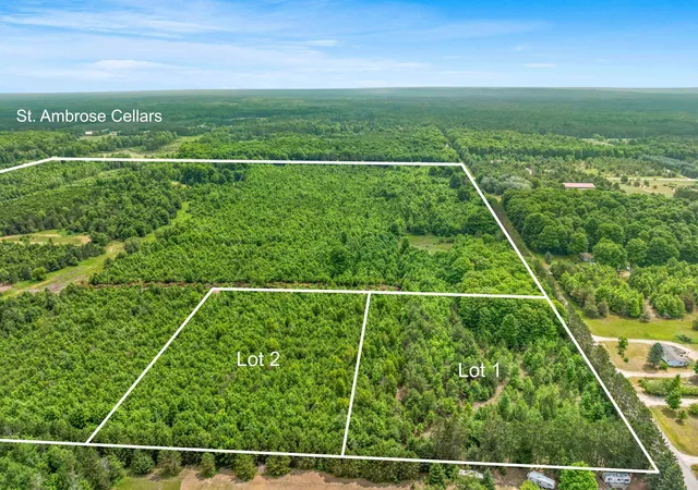 Homes for sale in Benzonia, MI | Parcel 1 Maple, Benzonia, MI 49616 | MLS# 80069899