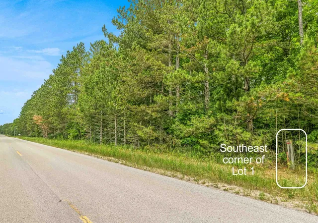 Homes for sale in Benzonia, MI | Parcel 1 Maple, Benzonia, MI 49616 | MLS# 80069899