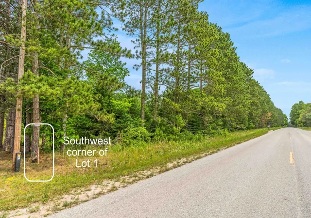 Homes for sale in Benzonia, MI | Parcel 1 Maple, Benzonia, MI 49616 | MLS# 80069899