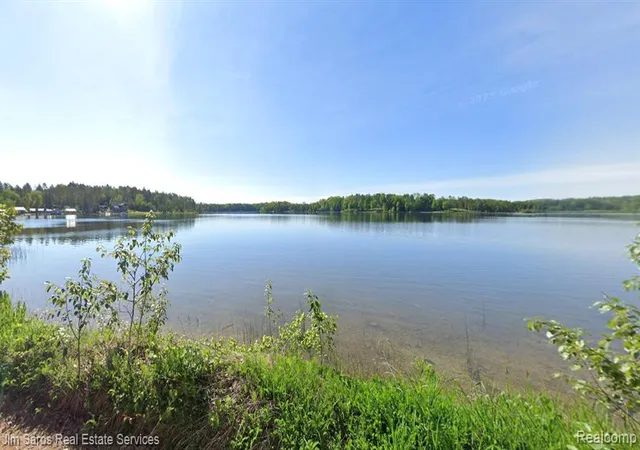 Homes for sale in Curran, MI | 5635 Black Rd, Curran, MI 48728 | MLS# 61000524