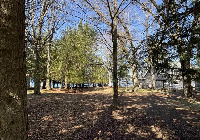 Homes for sale in Central Lake, MI | 0 Willow St, Central Lake, MI 49622 | MLS# 80067283