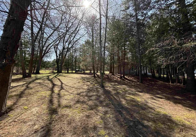 Homes for sale in Central Lake, MI | 0 Willow St, Central Lake, MI 49622 | MLS# 80067283