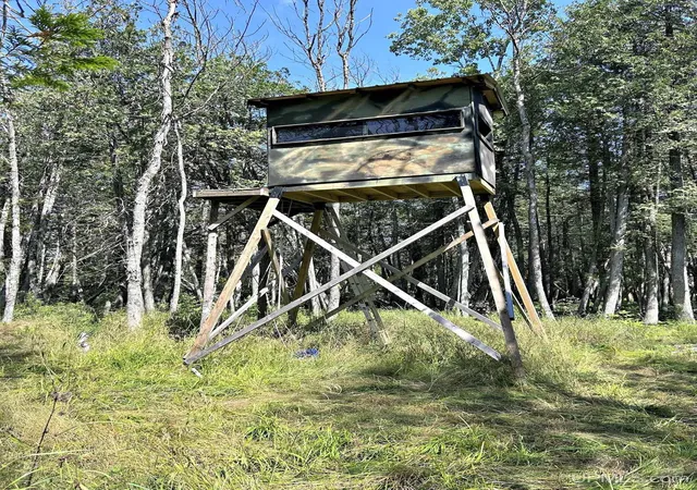 3rd image of Cr G-12 Rd, Stephenson, MI 49887 | MLS# 50219658
