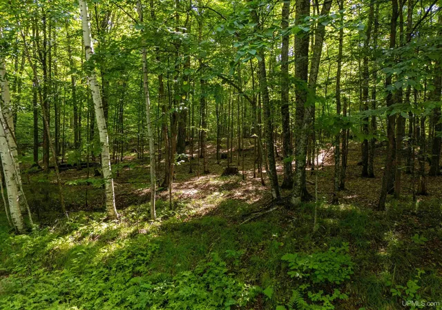 Photo 3 of Land for sale at Lot 7 Smoky Lake Dr, Iron River, MI 49935 | MLS# 50217498 | Listing updated on 2026-08-11