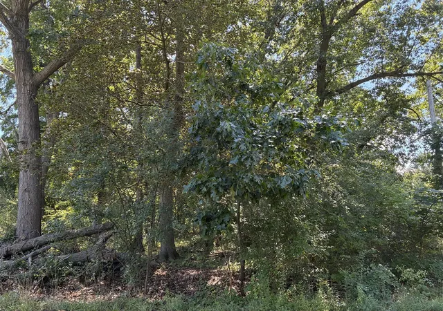 2nd image of Francis Ave, Kalamazoo, MI 49048 | MLS# 70553037