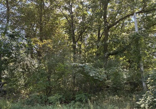 3rd image of Francis Ave, Kalamazoo, MI 49048 | MLS# 70553037