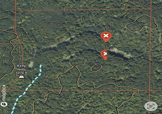 Homes for sale in Curran, MI | Tower Rd Rd, Curran, MI 48728 | MLS# 70524558
