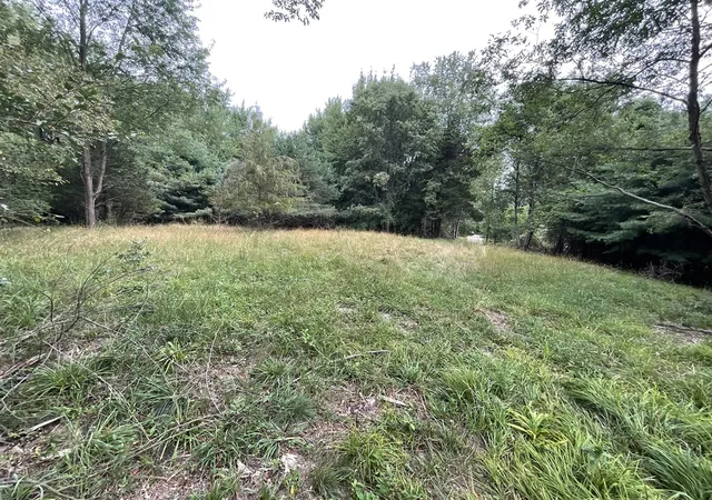 Photo 4 of Land for sale at B1 111th Avenue, South Haven, MI 49090 | MLS# 70460842 | Listing updated on 2026-08-07