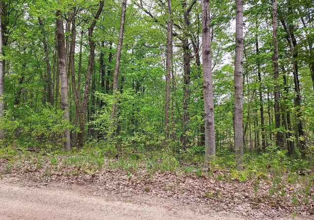 Photo 1 of Sale Pending at 00 Buck Ln, Harrison, MI 48625 | MLS# 70534302 | Listing updated on 2026-06-09