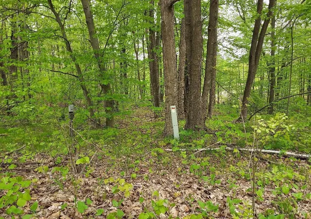 Photo 3 of Sale Pending at 00 Buck Ln, Harrison, MI 48625 | MLS# 70534302 | Listing updated on 2026-06-09