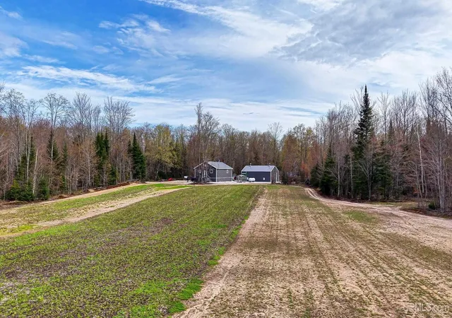 Homes for sale in Newberry, MI | 11307 Chesbrough Lake Rd, Newberry, MI 49868 | MLS# 50214163