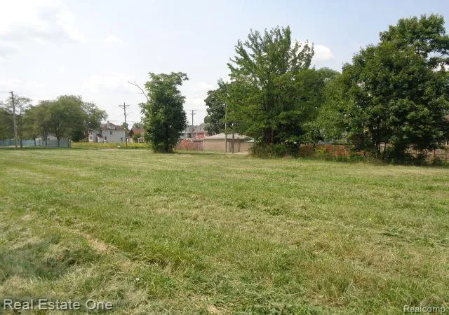 5th image of 227 Belmont St, Detroit, MI 48202 | MLS# 60932937