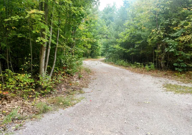 3rd image of 8653 E Remus Rd, Mount Pleasant, MI 48858 | MLS# 70492427