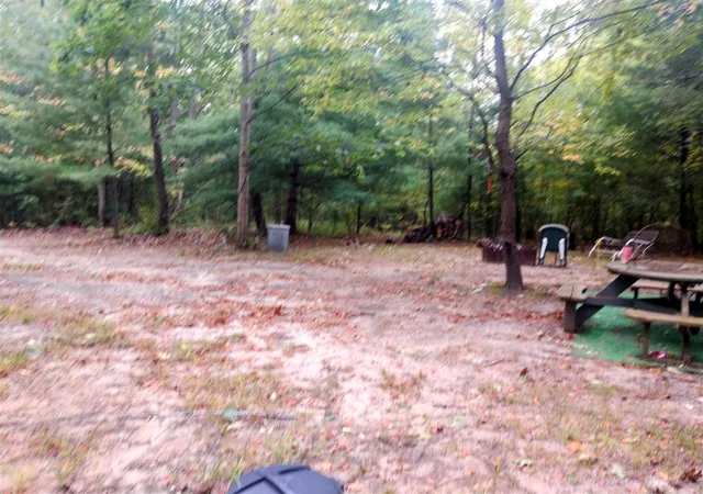 4th image of 8653 E Remus Rd, Mount Pleasant, MI 48858 | MLS# 70492427
