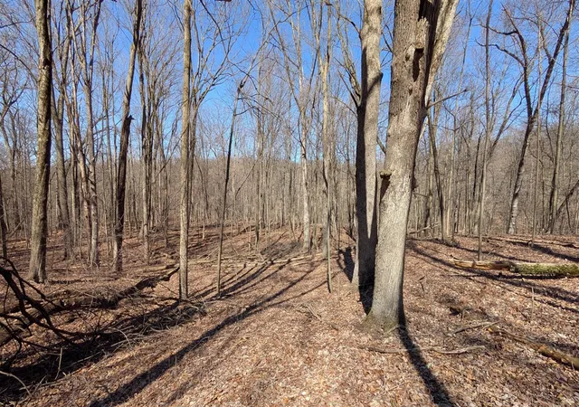 Unimproved Land at 8289 52nd Street, Alto, MI 49302 | MLS# 70460699 |  | Sold on 2025-10-30