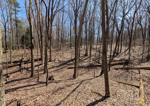 Photo 3 of Unimproved Land at 8289 52nd Street, Alto, MI 49302 | MLS# 70460699 |  | Sold on 2025-10-30