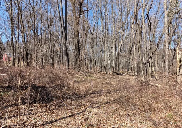 Photo 4 of Unimproved Land at 8289 52nd Street, Alto, MI 49302 | MLS# 70460699 |  | Sold on 2025-10-30