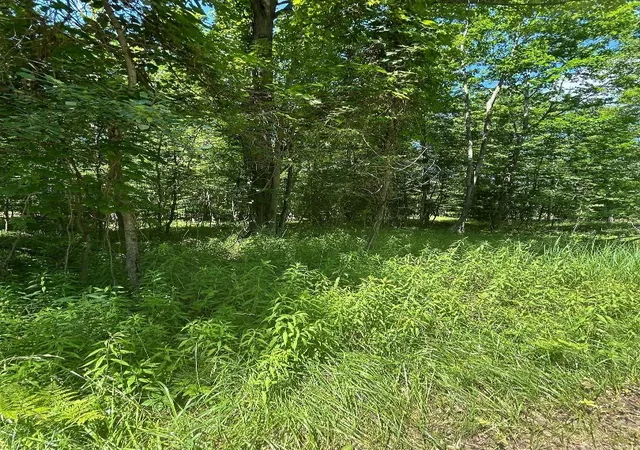 Homes for sale in Au Gres, MI | S Point Lookout Rd, Au Gres, MI 48703 | MLS# 80070649