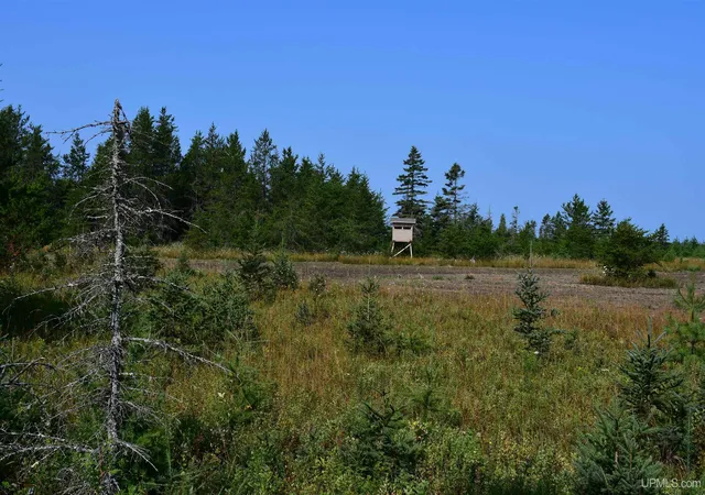 1st image of 7618 Cr 511 (y5) Rd, Rapid River, MI 49878 | MLS# 50219152