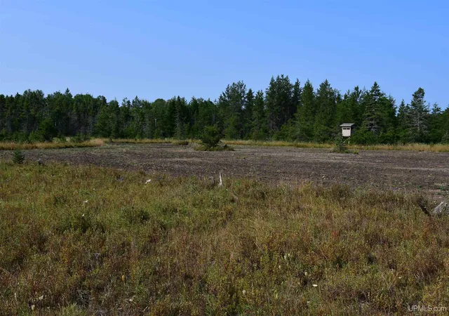 2nd image of 7618 Cr 511 (y5) Rd, Rapid River, MI 49878 | MLS# 50219152