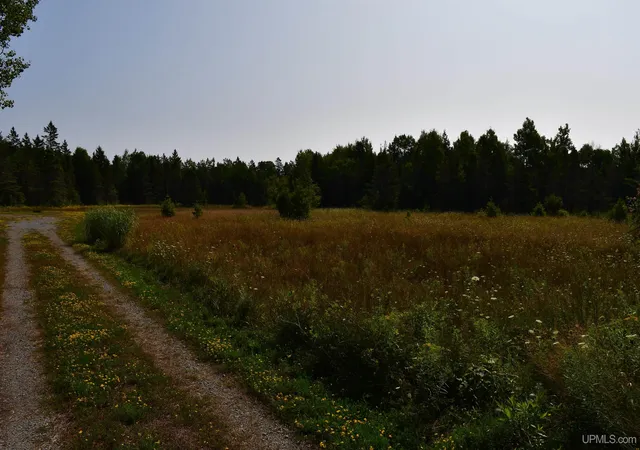 4th image of 7618 Cr 511 (Y5) Rd, Rapid River, MI 49878 | MLS# 50219152
