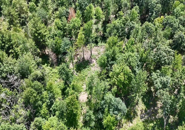 3rd image of E Long Lake Rd, Harrison, MI 48625 | MLS# 70523028