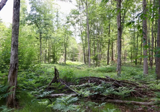4th image of E Long Lake Rd, Harrison, MI 48625 | MLS# 70523028