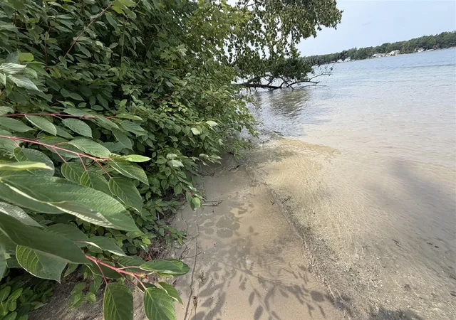 Photo 4 of Land for sale at V/l S Deer Point Dr, Newaygo, MI 49337 | MLS# 70552706 | Listing updated on 2026-08-16