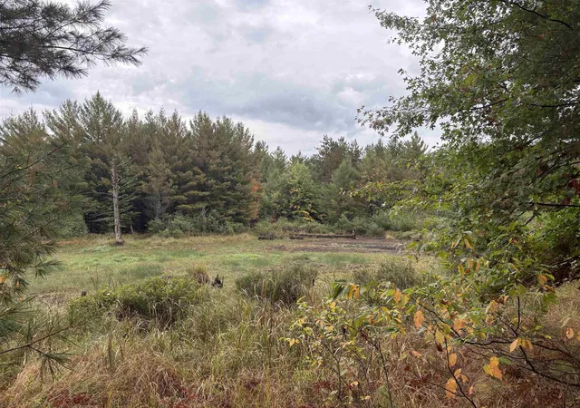 Homes for sale in Roscommon, MI | 0 Hall Rd, Roscommon, MI 48653 | MLS# 50189354