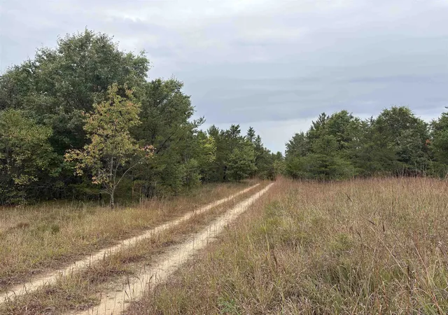 Homes for sale in Roscommon, MI | 0 Hall Rd, Roscommon, MI 48653 | MLS# 50189354
