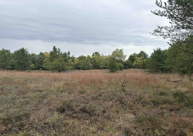 Homes for sale in Roscommon, MI | 0 Hall Rd, Roscommon, MI 48653 | MLS# 50189354