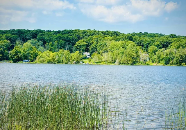 2nd image of 4859 Rushton Rd, Central Lake, MI 49622 | MLS# 80071961