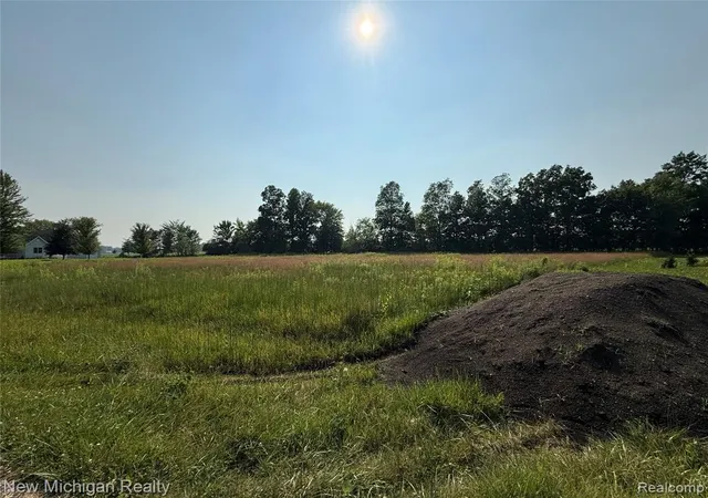 Photo 10 of Land for sale at 9807 Oak Ridge Rd, New Lothrop, MI 48460 | MLS# 60919241 | Listing updated on 2026-08-15