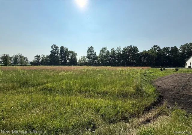 Photo 1 of Land for sale at 9807 Oak Ridge Rd, New Lothrop, MI 48460 | MLS# 60919241 | Listing updated on 2026-08-15