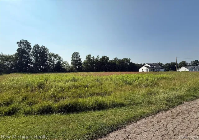 Photo 3 of Land for sale at 9807 Oak Ridge Rd, New Lothrop, MI 48460 | MLS# 60919241 | Listing updated on 2026-08-15